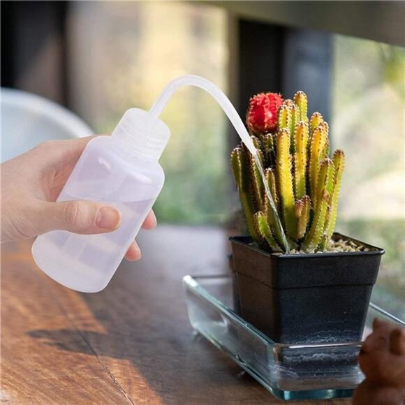 Succulent Tools, Mini Garden Tool Set, Transplanting Tools Set, Succulent Care - Picture 4 of 7